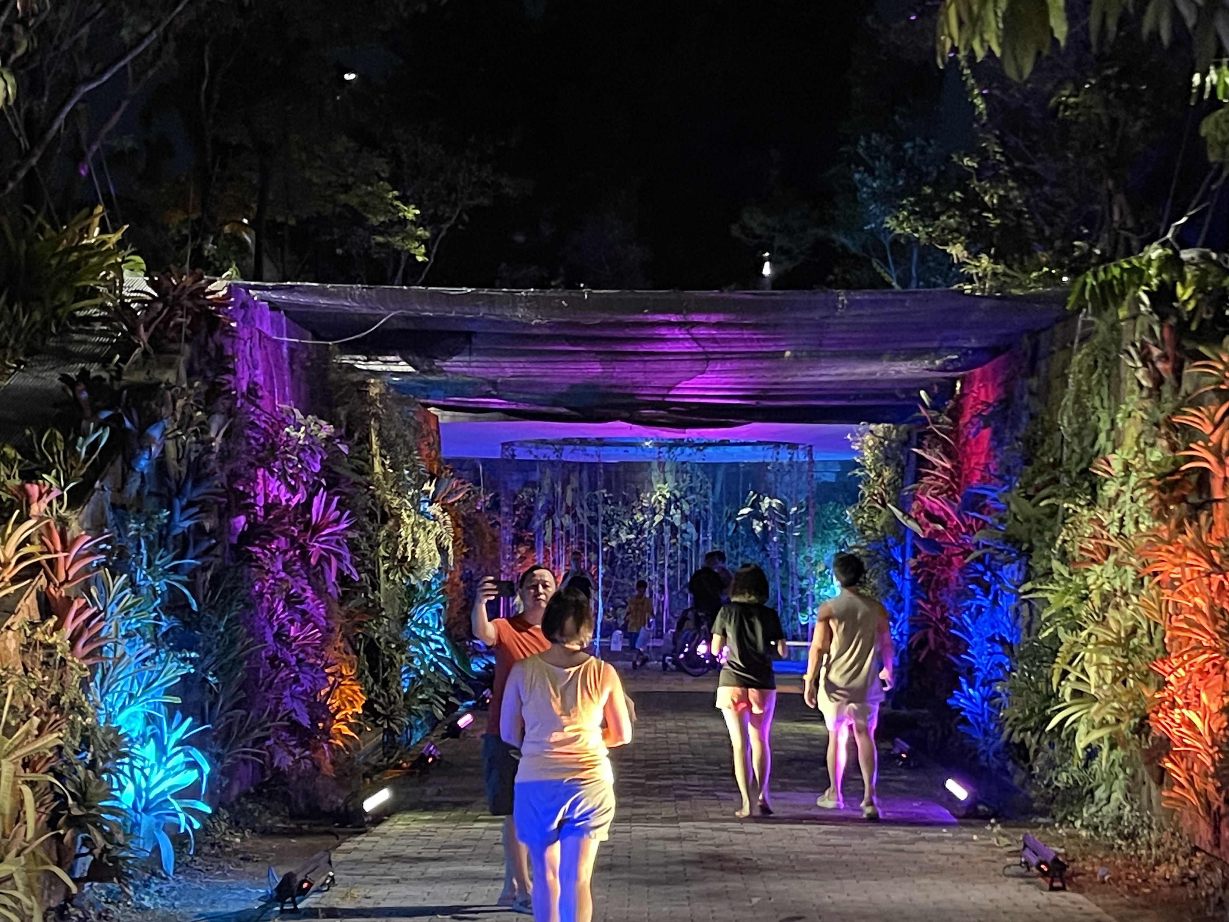 Sunken Garden Illumination